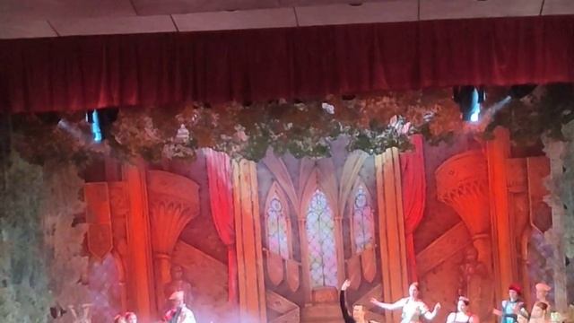 VID2026 Сегодня я был на Балете Лебединое озеро смотреть онлайн