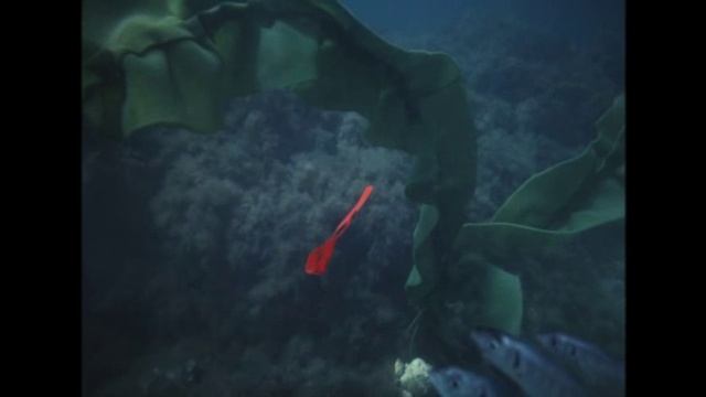 . Доктор Ватсон.- Морской Дьявол. смотреть онлайн