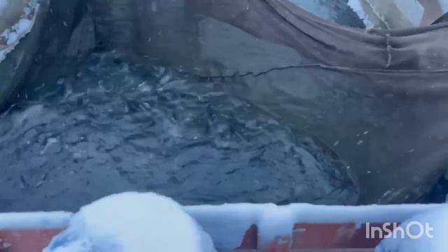 1000137838.mp4 смотреть онлайн