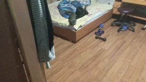 ВЛОГ. КАЖЕТСЯ БЛОГЕРАМ КОНЕЦ