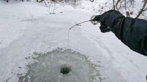 РЕКУ ПЕРЕПЛЮНЕШЬ и ТАКАЯ РЫБА КЛЮЁТ. ДУШЕВНАЯ Рыбалка на безмотылку зимой в 2026