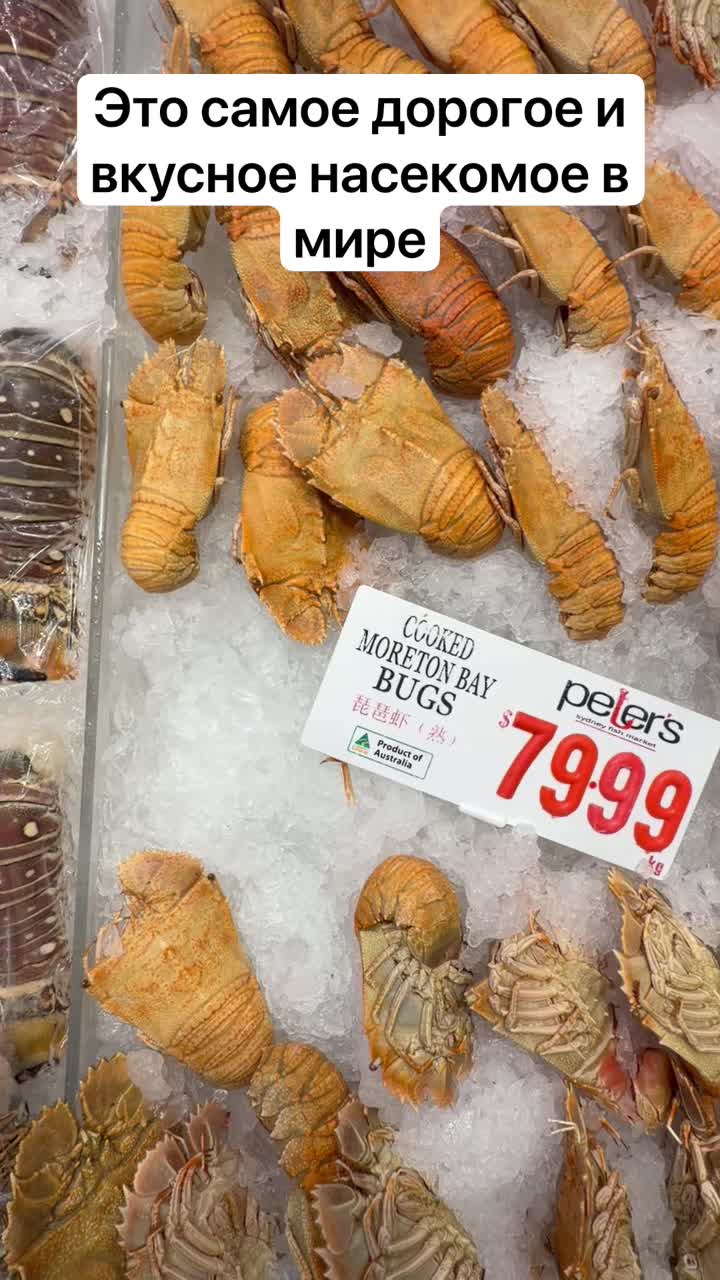 Каких насекомых едят а Австралии и почему они такие дорогие! смотреть онлайн