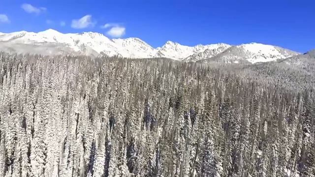 На что мы тратим жизнь.mp4