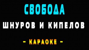 Караоке свобода Сергей Шнуров и Валерий Кипелов