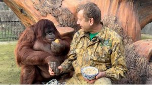 Орангутан Дана согласна поделиться с Олегом Зубковым и борщом и пловом, но пирожком НИКОГДА😀