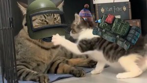 Симулятор борьбы с чевекашниками и местными дикими - Escape From Tarkov