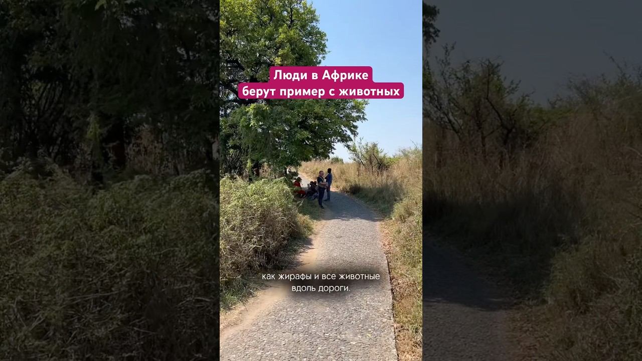 За 3 недели проехали 7 стран Африки на авто (Рено Квид) без гида. Больше о крези трипе в профиле смотреть онлайн