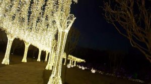 Парк Галицкого