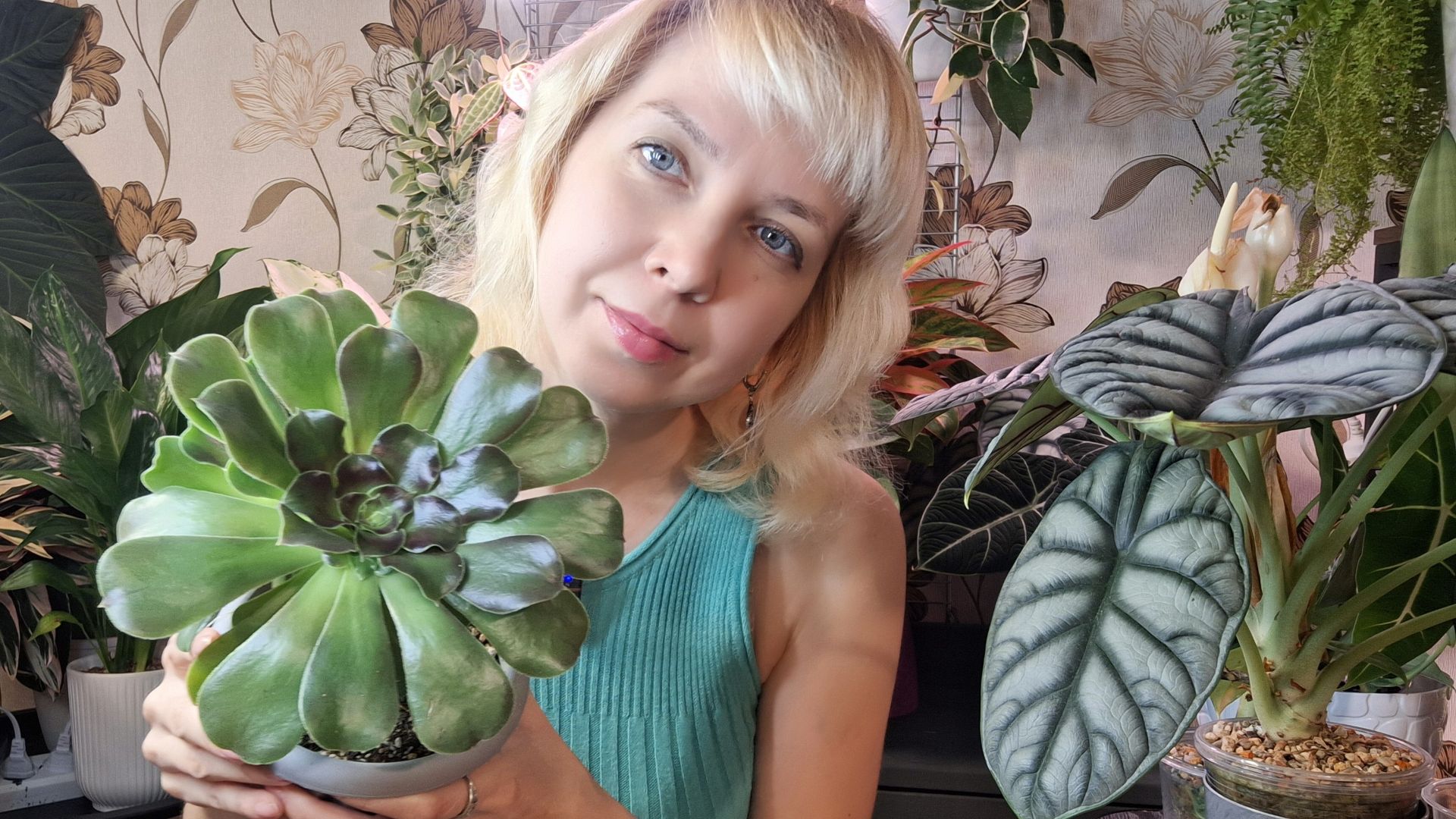 Обзор растений на продажу. Январь. смотреть онлайн