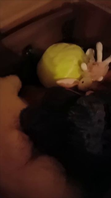 ♥️♥️♥️♥️♥️♥️