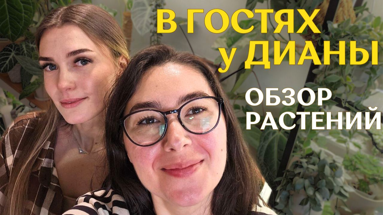 В гостях У ДИАНЫ @murashka_plants | КОМНАТА с РАСТЕНИЯМИ | красивое ОФОРМЛЕНИЕ РАСТЕНИЙ🪴 смотреть онлайн