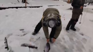 08.01.26 г. РК Волна