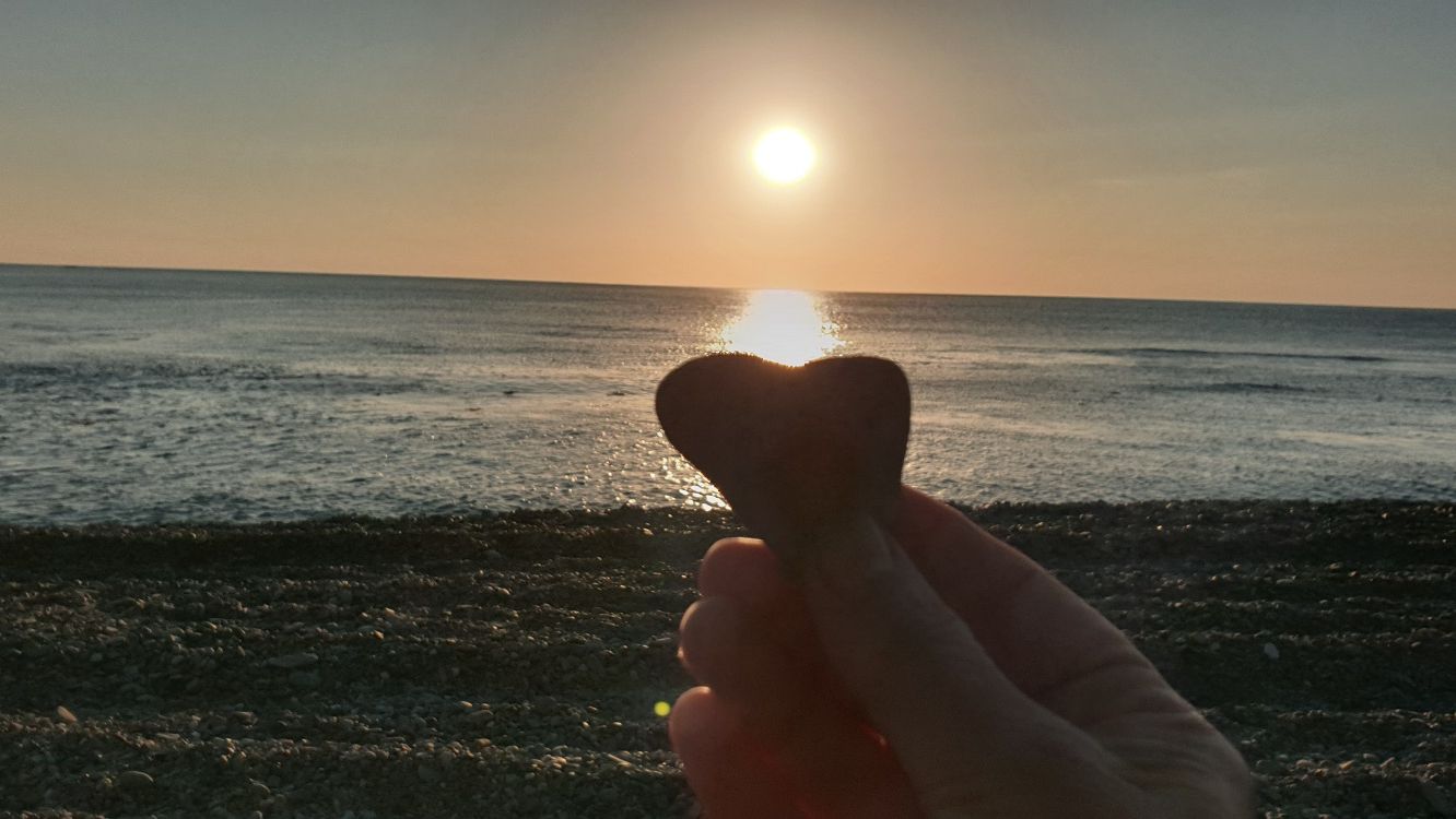 ВСЕГДА РЯДОМ смотреть онлайн