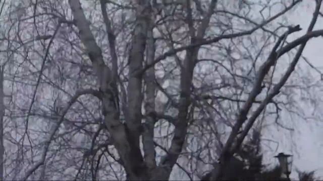 Мой Сальск. Клип 1 2018 смотреть онлайн