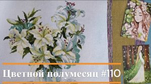 Цветной полумесяц 110//25.12.25-07.01.26. Риолис, РТО, Овечкины забавы. И горстка стартов