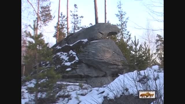 DV Царство Сокола Закудыкины Горы 2007 г