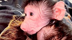 Малышка Николь ТАКАЯ УМНИЧКА и КРАСАВИШНА❤️