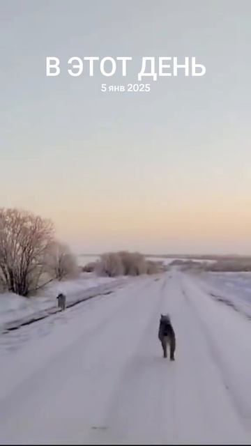 Дерзкий побег! смотреть онлайн