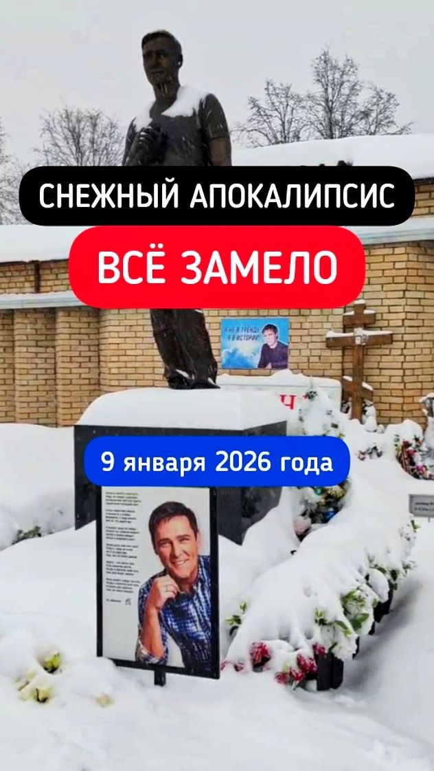 временное явление: могилу Юрия Шатунова накрыло снегом #shorts #шатунов #2026 #уборка #белыерозы смотреть онлайн