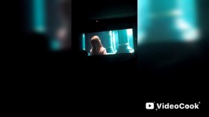 пришли в смотреть кино про Чебурашку