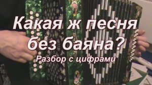 Какая ж песня без баяна? 099
