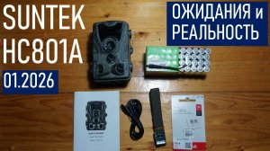 Фотоловушка SUNTEK HC801A, ожидания и реальность (частный тест в 2026 г.)