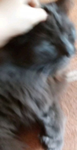 привет👋🏻