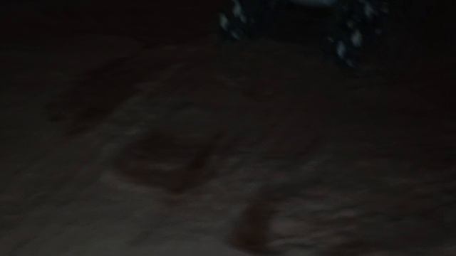 робо сабака.