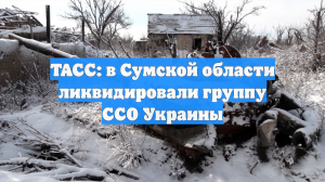 ТАСС: в Сумской области ликвидировали группу ССО Украины
