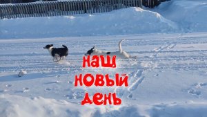 НАШ НОВЫЙ ДЕНЬ .