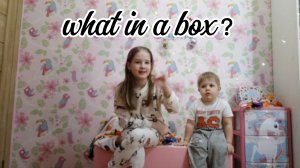 Challenge: GUESS WHAT IN A BOX?! | Happy Vika