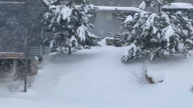 1000137955.mp4 смотреть онлайн