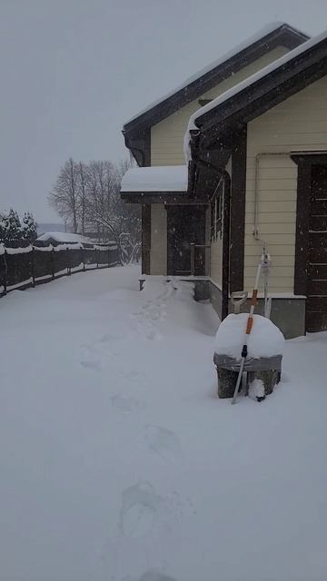 снегопад в деревне