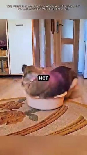 разочарование