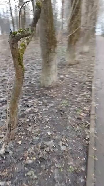 Роспись по дереву в рамках проекта 