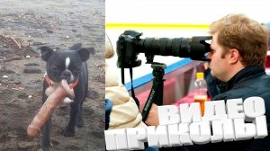 ВИДЕОПРИКОЛЫ \ КРУТЫЕ ПРИКОЛЫ 2025 \ НОВЫЕ ПРИКОЛЫ \ СМЕШНЫЕ ПРИКОЛЫ 2025 ЮМОР