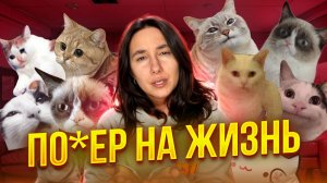 Неопределённость больше не пугает. Вот почему