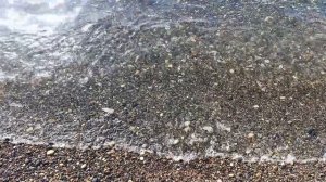 48) На зиму в Абхазию-4. Рождественский день