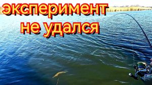 Открытие сезона 2026.Необычный джиг-риг.