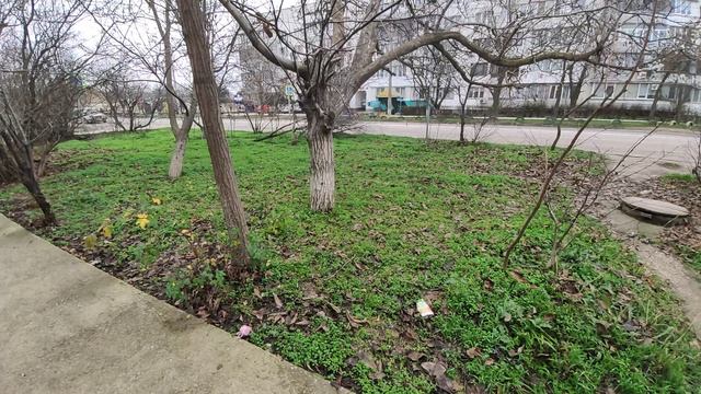 Один из дней города Евпатории | 11 января 2021 г | Крым | ХАН БАТОН XAH 6ATOH / VID_20210111_135441 смотреть онлайн