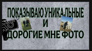 КНЯЗЬ, СТАС, САША, КИРИЛЛ, ИРИШКА,СУЩНОСТИ, ДЕВУШКА С "КОНЯМИ " И ДРУГИЕ.