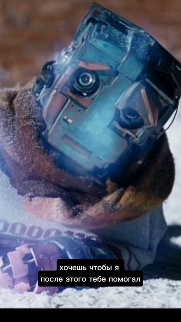 Менеджмент