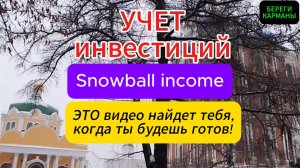 УЧЕТ ИНВЕСТИЦИЙ. Программа Snowboll income.