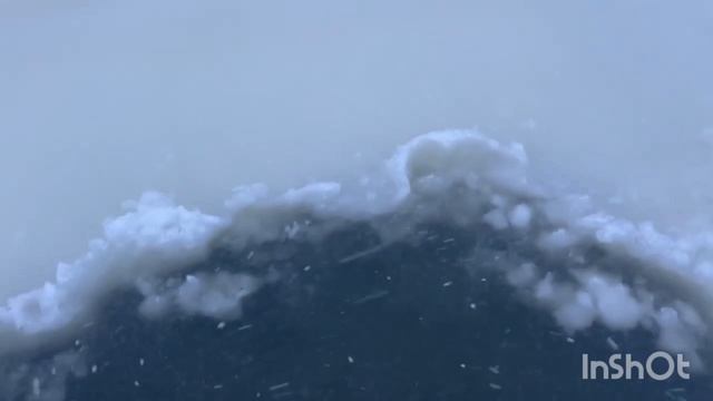 1000137945.mp4 смотреть онлайн