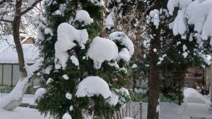 С добрым,зимним утром!