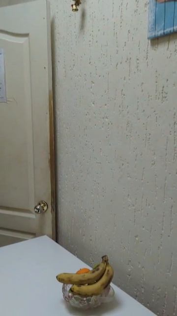 4f640d68-ba5f-4950-b0f7-2d29eaaa82bd