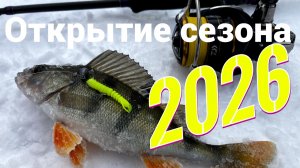 Река Десна. Зимний микроджиг в январе