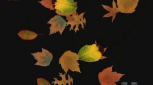 Промо Осень