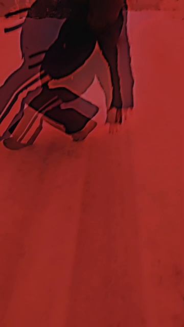 Вот это полёт🤣🤣🤣🤣