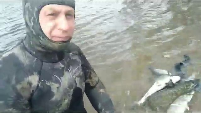 Подводная охота смотреть онлайн